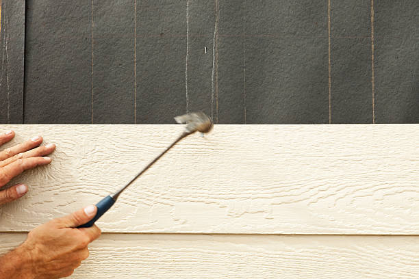 Best Composite Siding  in Woodridge, IL